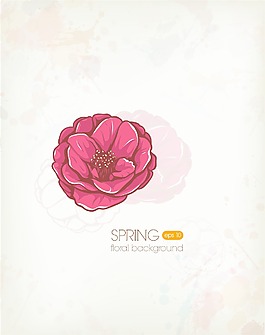 春天開花的花卉背景矢量插畫