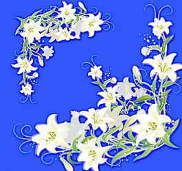 花 百合 花邊