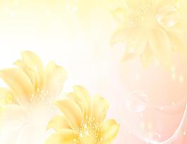 花團錦簇