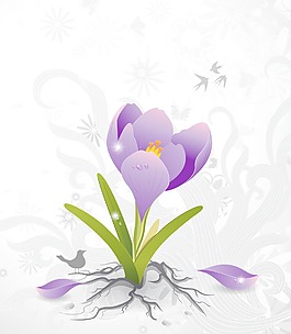 花卉背景矢量插畫