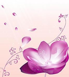 夢(mèng)幻鮮花