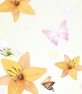 黃花 蝴蝶