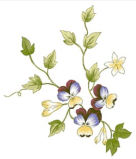 紫色花