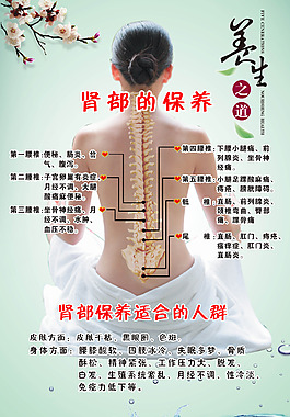 腎部保養(yǎng)