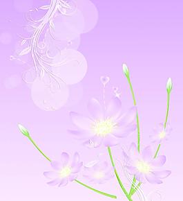 夢幻花