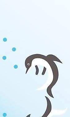 海豚