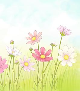 花朵
