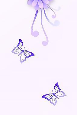蝶戀花 蝴蝶
