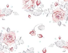 玫瑰花