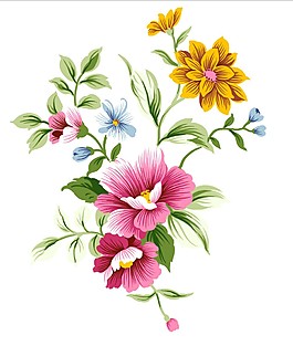漂亮鲜花