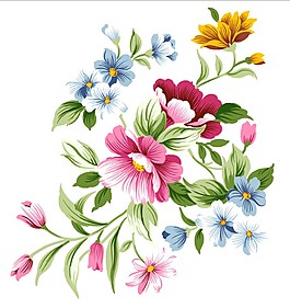 鲜花开放