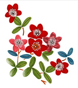 红色鲜花