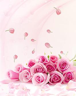 玫瑰花