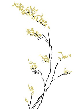 茅草