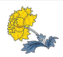 黃色鮮花