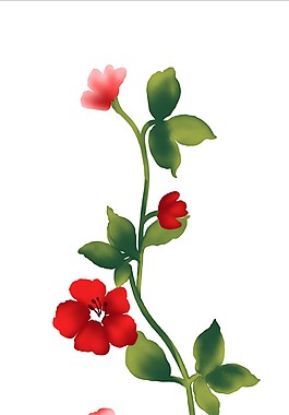 美麗花兒