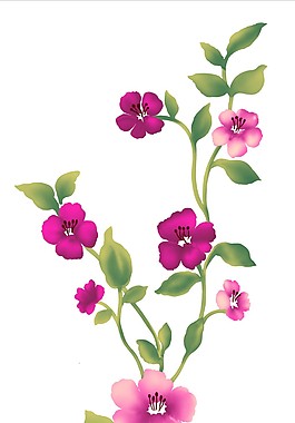 美麗鮮花