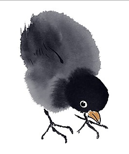 小雞