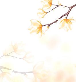 玉蘭花