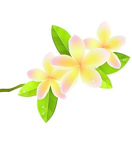 花紋背景