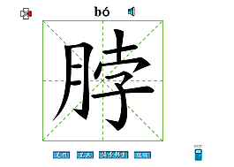 脖字笔画flash教程