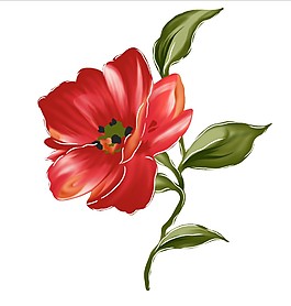 可愛的鮮花