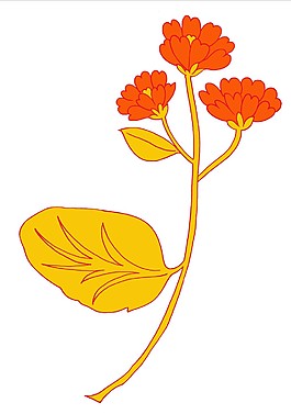 黄色花枝