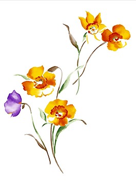 零落的黃花