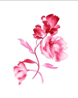 朦胧红花
