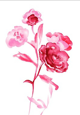 水彩红花
