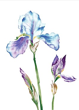 水中花