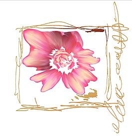 花边框