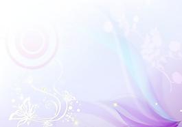 夢(mèng)幻蝴蝶