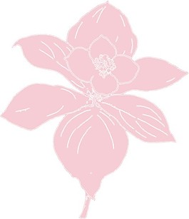古典花紋