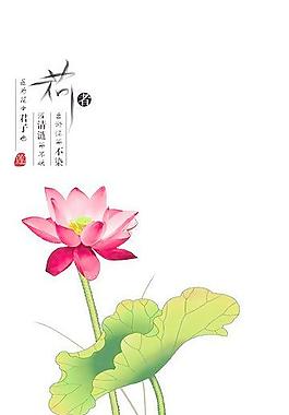 荷花魚(yú)