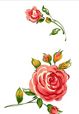 紅色花兒盛開