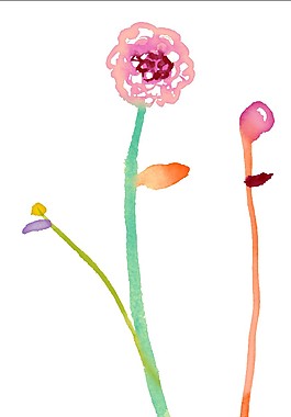 粉色花枝