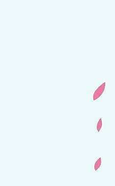花 葉子