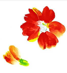 紅色水彩花