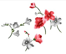 美麗的鮮花