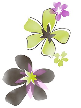 花兒朵朵開