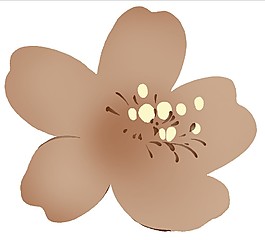 灰色鲜花