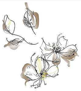 素描鮮花