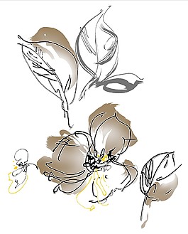 鋼筆素描鮮花