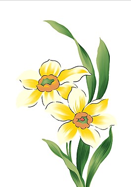 黃花