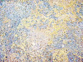 shabby_background
