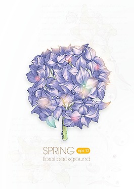與繡球花卉背景矢量插畫
