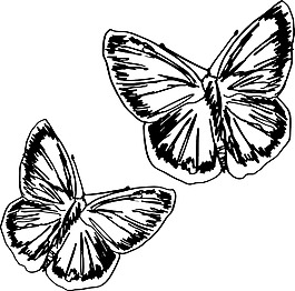 蝴蝶素描插畫矢量