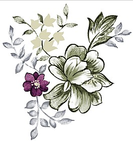 灰色鮮花盛開
