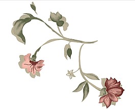 花紋